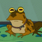 Hypno toad